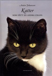 Katter som fått en andra chans