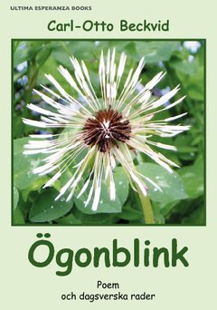 Ögonblink : poem och dagsverska rader