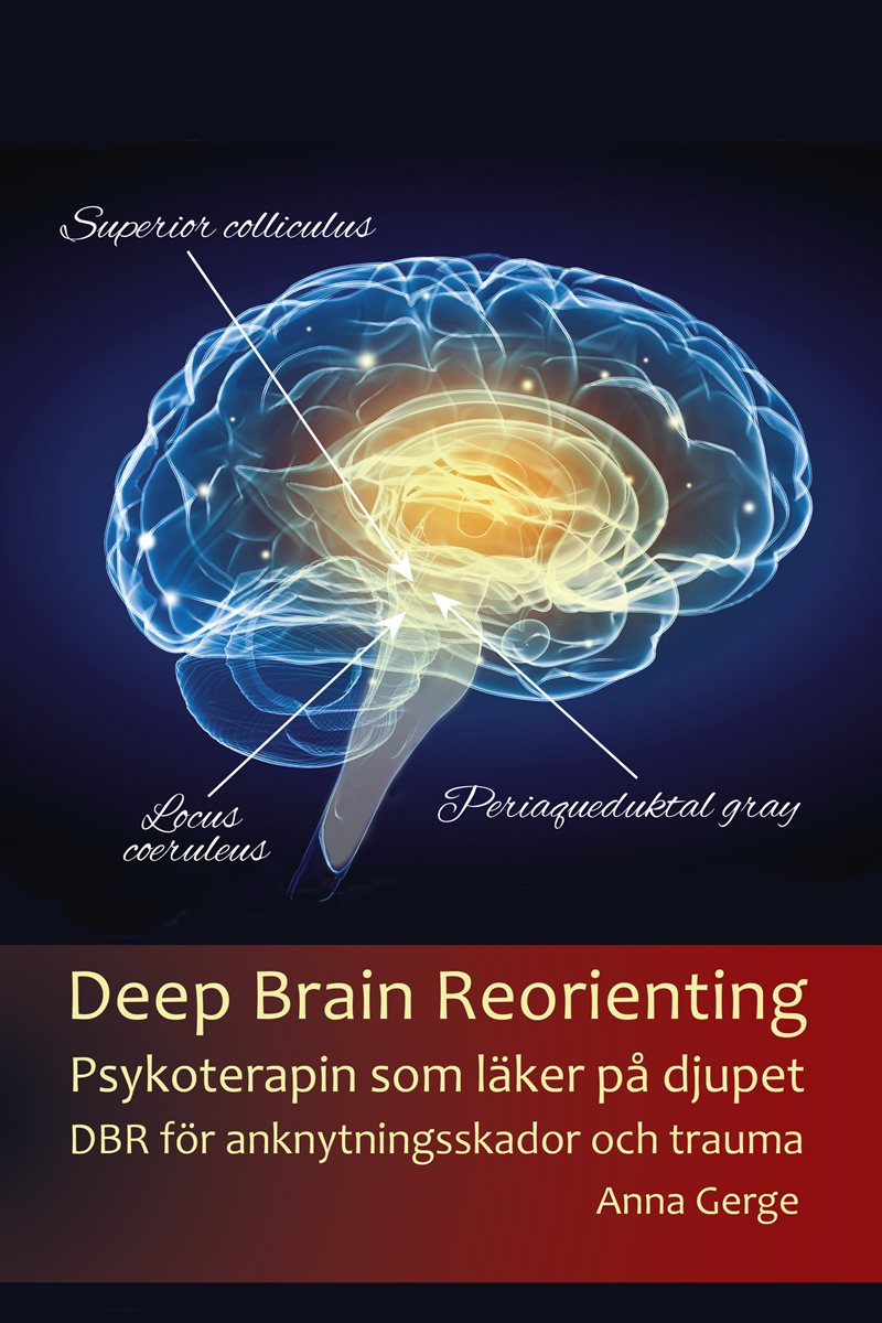 Deep Brain Reorienting:Psykoterapin som läker på djupet DBR för anknytningsskador och trauma