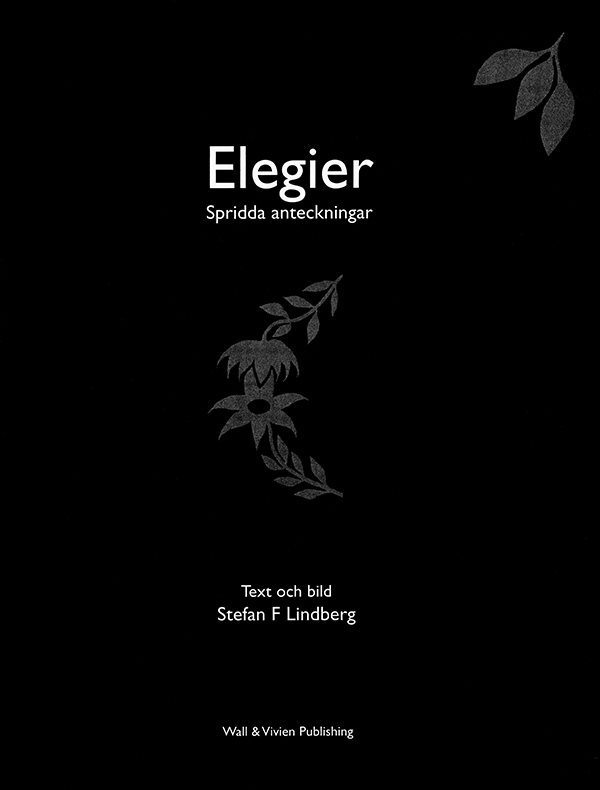 Elegier : spridda anteckningar