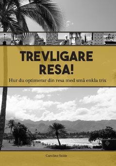 Trevligare resa : hur du optimerar din resa med små enkla trix