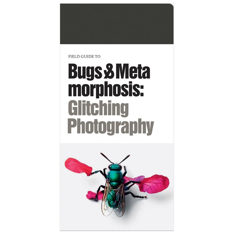 Field guide to bugs & metamorphosis: glitching photografy 