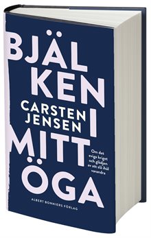 Bjälken i mitt öga