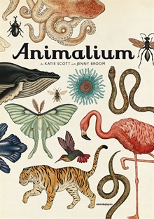 Animalium