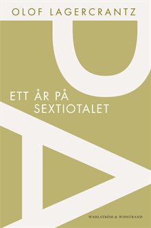 Ett år på sextiotalet