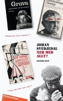 Ner med allt? : essäer om protestlitteraturen och demokratin, cirka 1965-1975