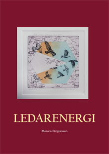 Ledarenergi