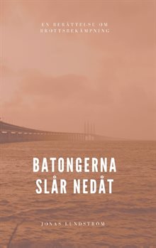 Batongerna slår nedåt : en berättelse om brottsbekämpning