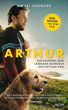 Arthur : gatuhunden som lämnade djungeln och hittade hem